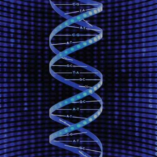dna sequence